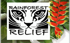 Rainforest Relief